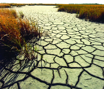 Foto ONU                    -