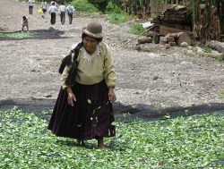 B5 Foto ONU .   -  -