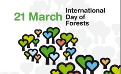 B6 Foto ONU           - -