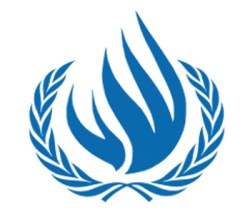 Foto ONU      -         -