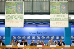 El Director General de la FAO, José Graziano da Silva, se dirigió a los ministros de una treintena de países en la reunión
