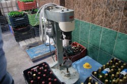 C9 Foto INTERPOL -E-