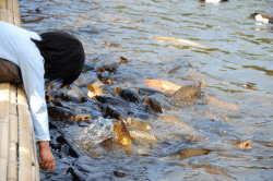 (Foto: Nathan Jones via Flickr; licencia: CC BY-NC 2.0)