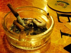 C11 Foto ONU                -