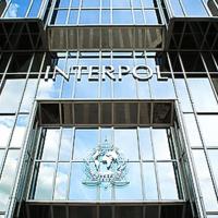 Redada internacional comandada por la Organización Internacional de Policía&nbsp;Criminal