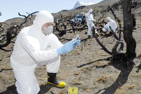 investigacion-de-incendios-1-foto